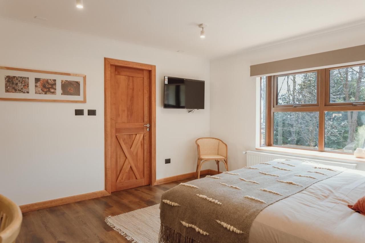 Pura Hotel Coyhaique Extérieur photo